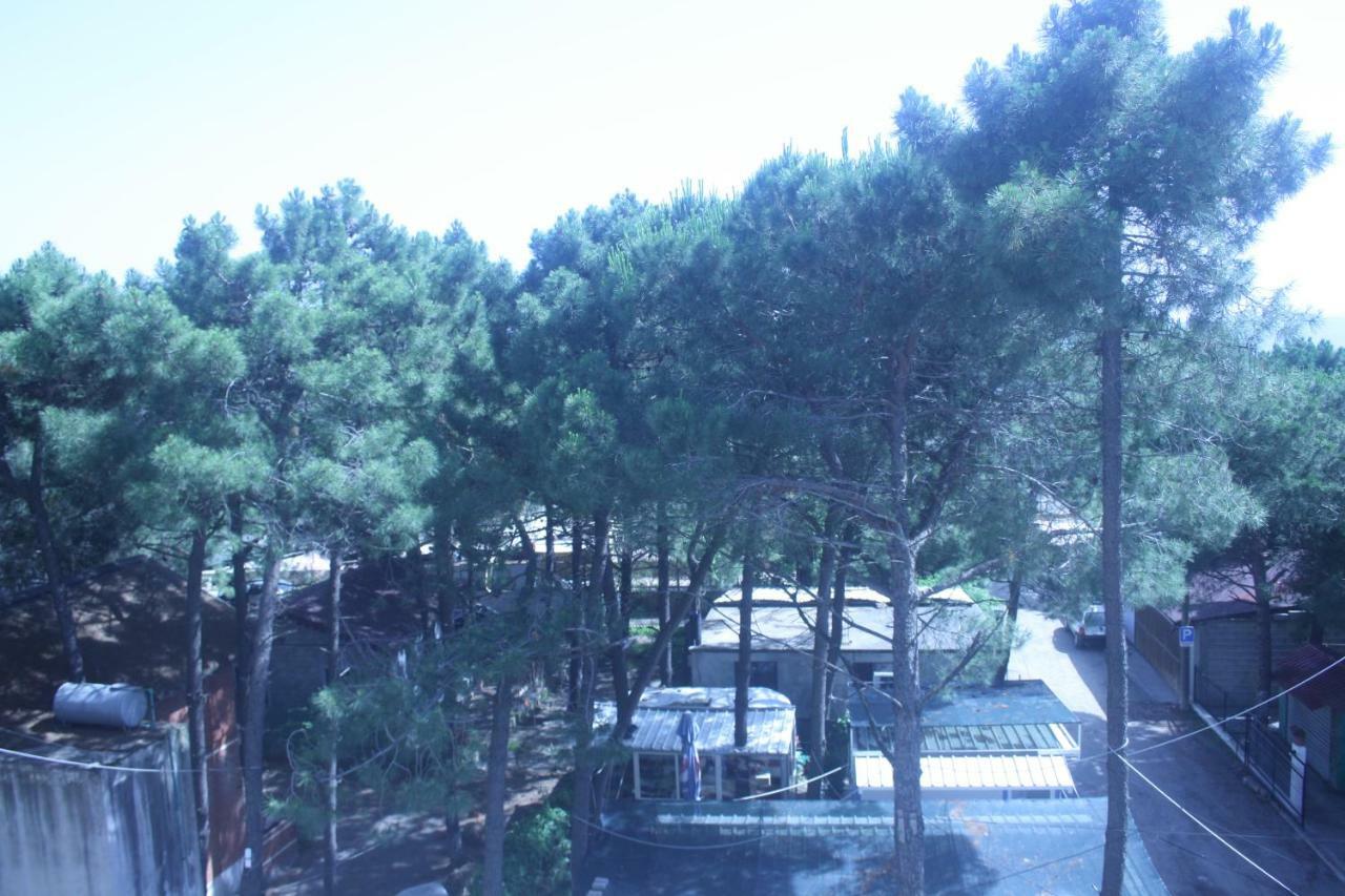 Hotel Temali 2 Velipoja Kültér fotó